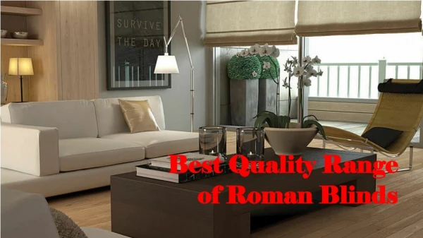 Best Quality Range of Roman Blinds