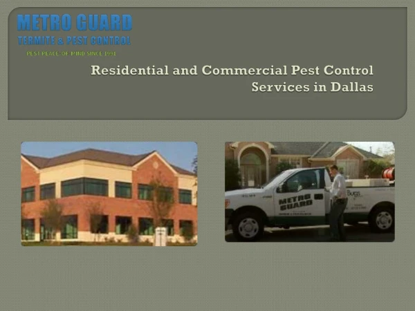 Pest control Dallas Texas