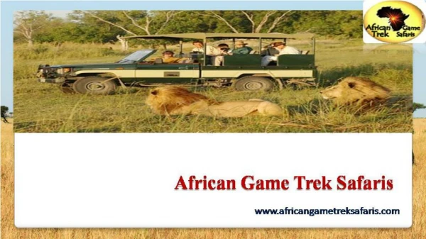 Planning On Booking A Safari Tours In Kenya?