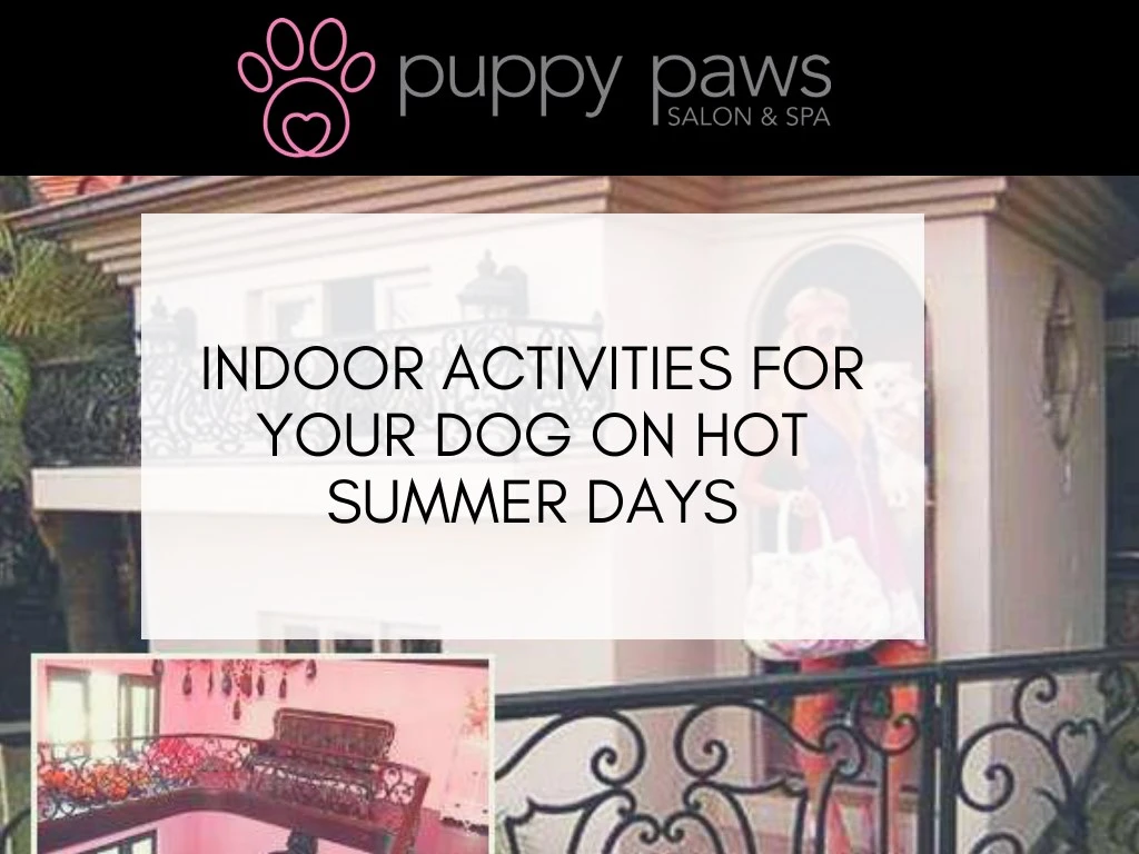 indoor activities for your dog on hot summer days