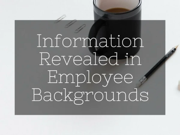 Information Revealed in Employee Backgrounds