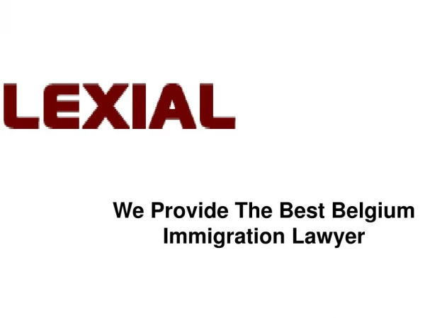 Belgium Immigration Lawyer