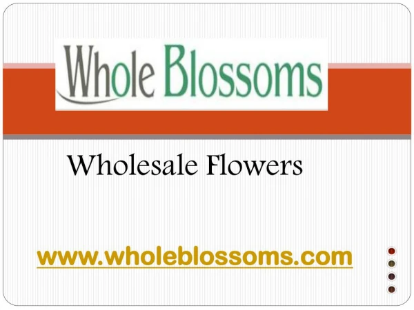 Wholesale Flowers - wholeblossoms