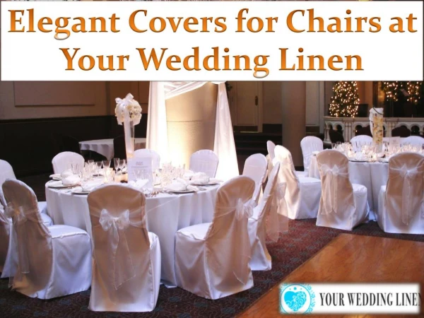 Elegant Covers for Chairs at Your Wedding Linen