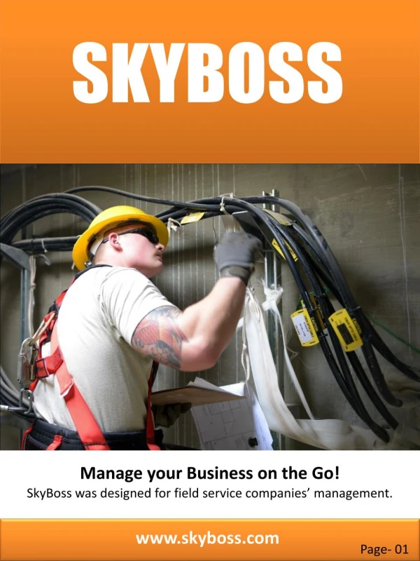 SkyBoss Software