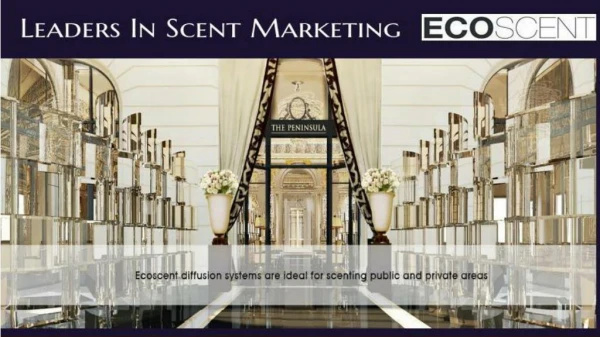 Eco Scent PRO Retail Scent Machine Can You Closer to Your Customers