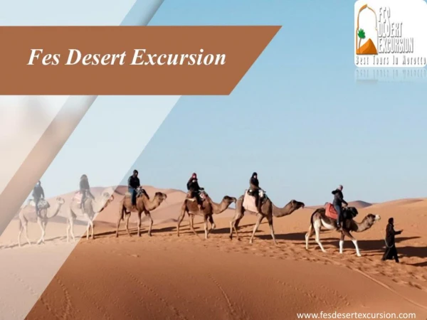 Explore the thrilling experience of Morocco With Fesdesertexcursion