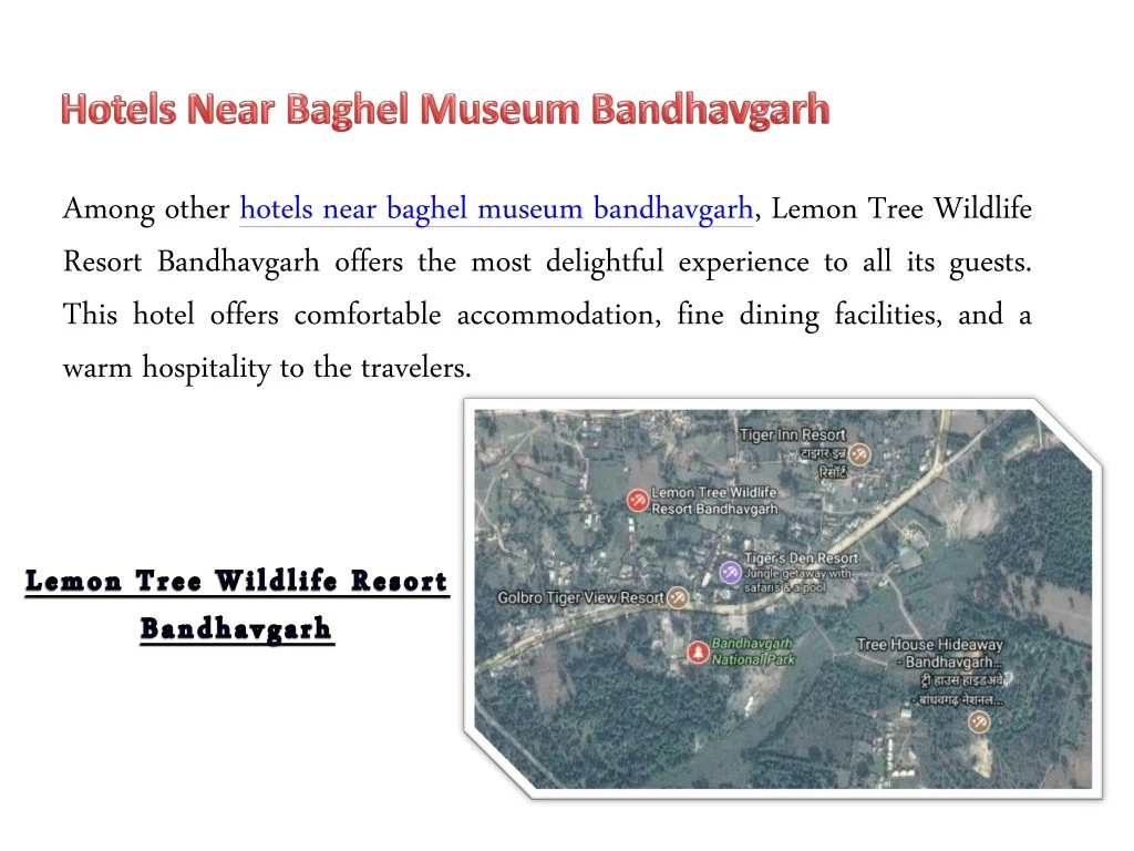 among other hotels near baghel museum bandhavgarh