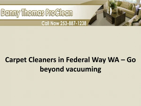 Carpet Cleaners in Federal Way WA – Go Beyond Vacuuming