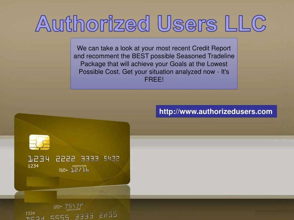 authorized users llc