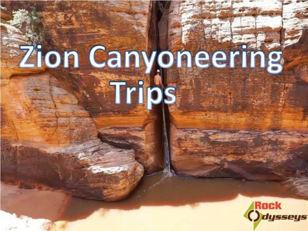 Join Our Canyoneering Zion Trip For An Adventurous Experience