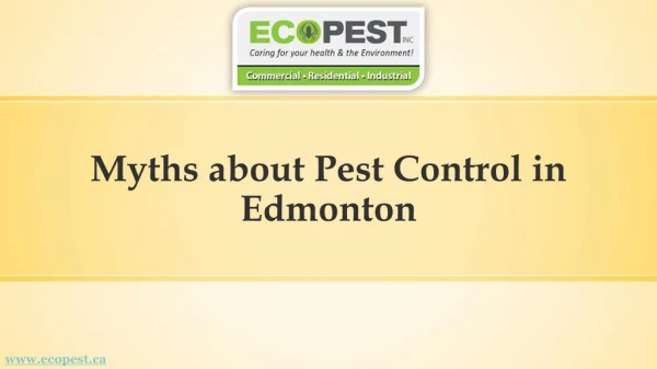 Get the List of Known Myths about Pest Control in Edmonton