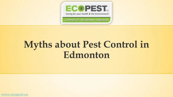 myths about pest control in edmonton