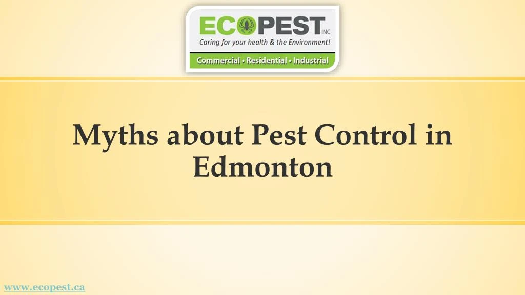myths about pest control in edmonton