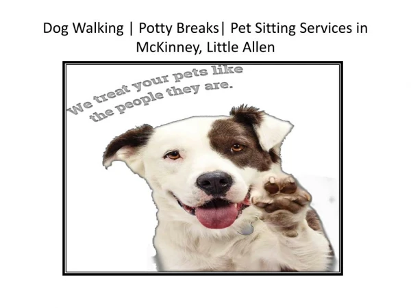 Dog Walking | Potty Breaks| Pet Sitting Services in Mckinney, Little Allen