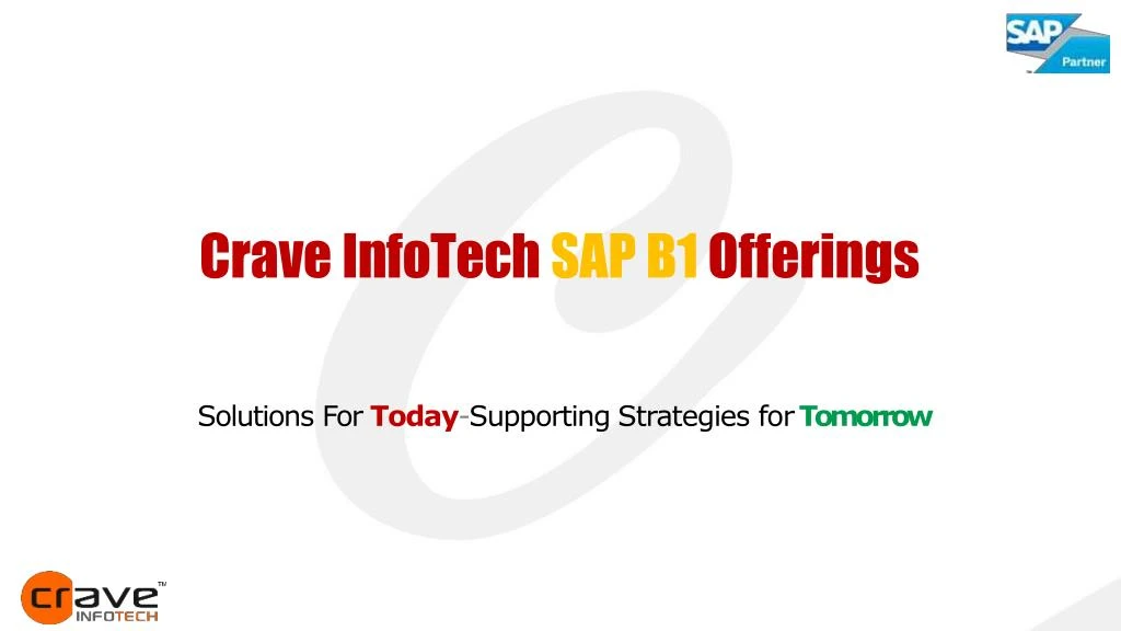 crave infotech sap b1 offerings