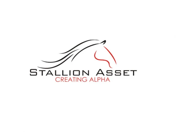Stallion asset | Value Pick | Multibagger stocks