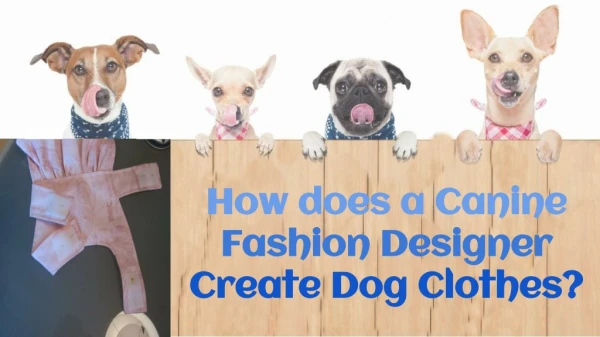 Things Consider By Canine Fashion Designer For Dog Clothes