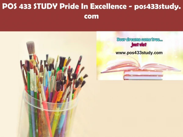 POS 433 STUDY Pride In Excellence /pos433study.com