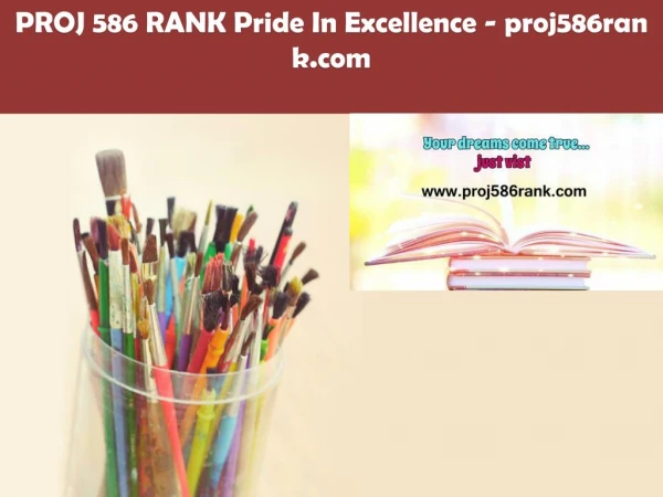 PROJ 586 RANK Pride In Excellence /proj586rank.com