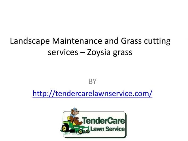 Landscape Maintenance and Grass cutting services – Zoysia grass