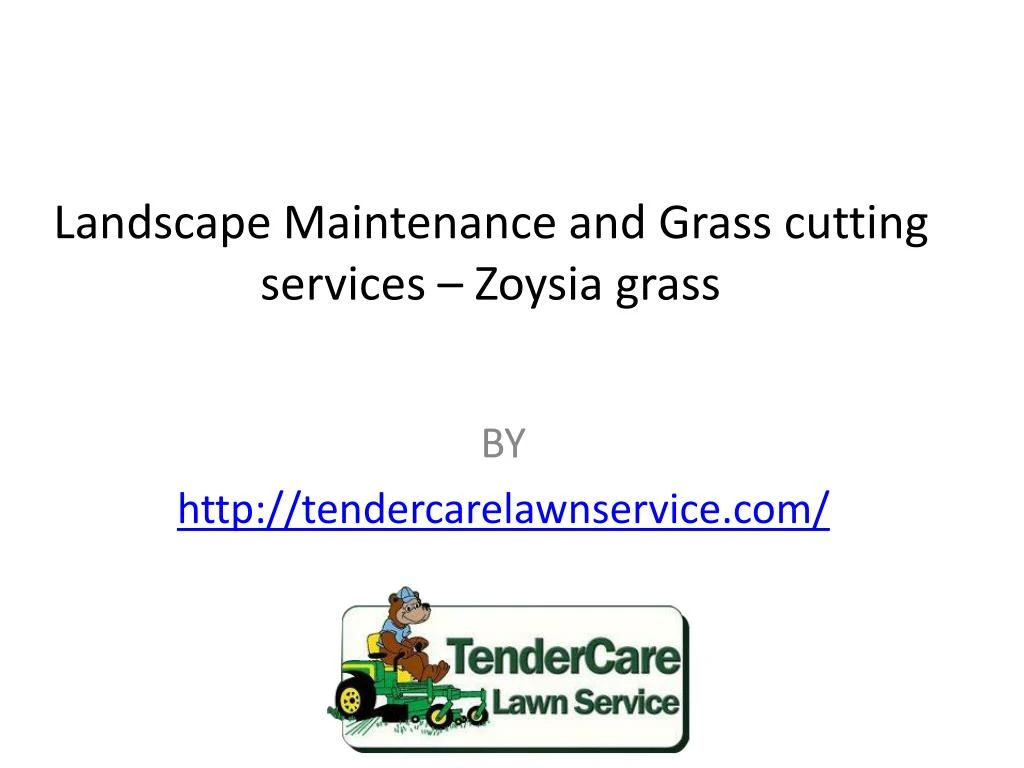 landscape maintenance and grass cutting services zoysia grass