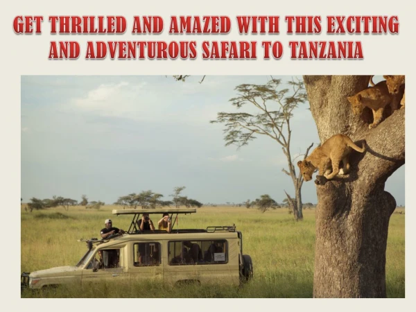 GET THRILLED AND AMAZED WITH THIS EXCITING AND ADVENTUROUS SAFARI TO TANZANIA