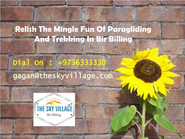 Relish The Mingle Fun Of Paragliding And Trekking In Bir Billing