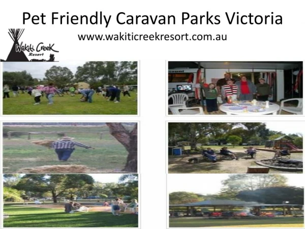 Pet Friendly Caravan Parks Victoria