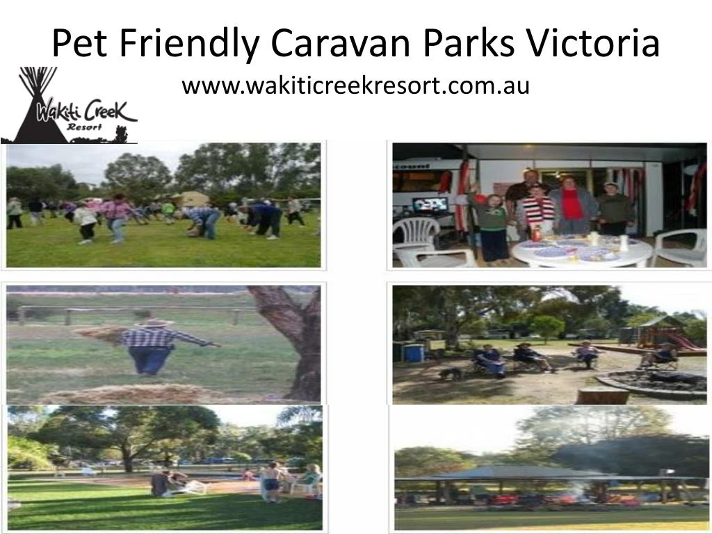 pet friendly caravan parks victoria www wakiticreekresort com au