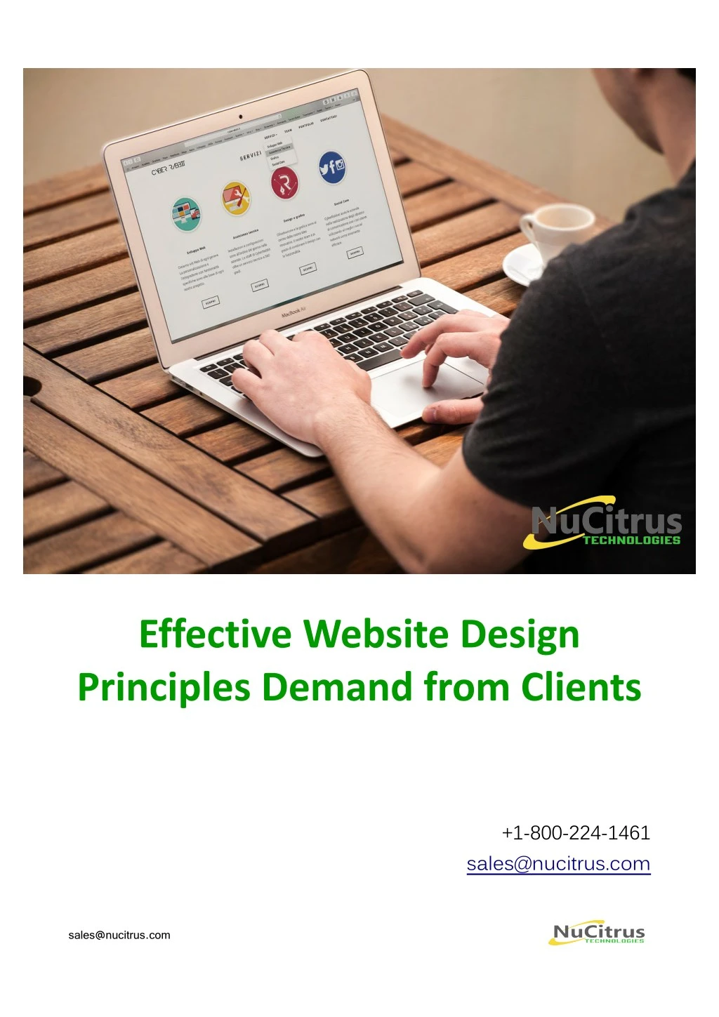 effective website design principles demand from