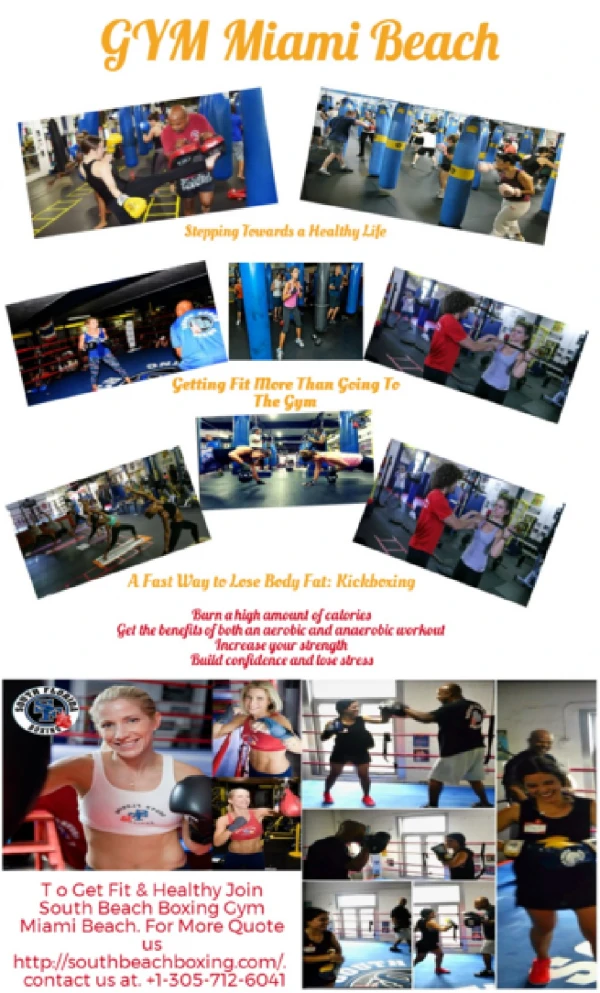 Top Miami Beach Boxing Gym And Fitness
