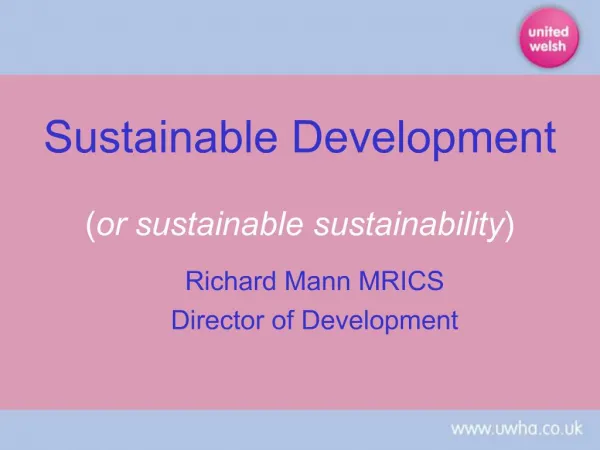 Sustainable Development or sustainable sustainability