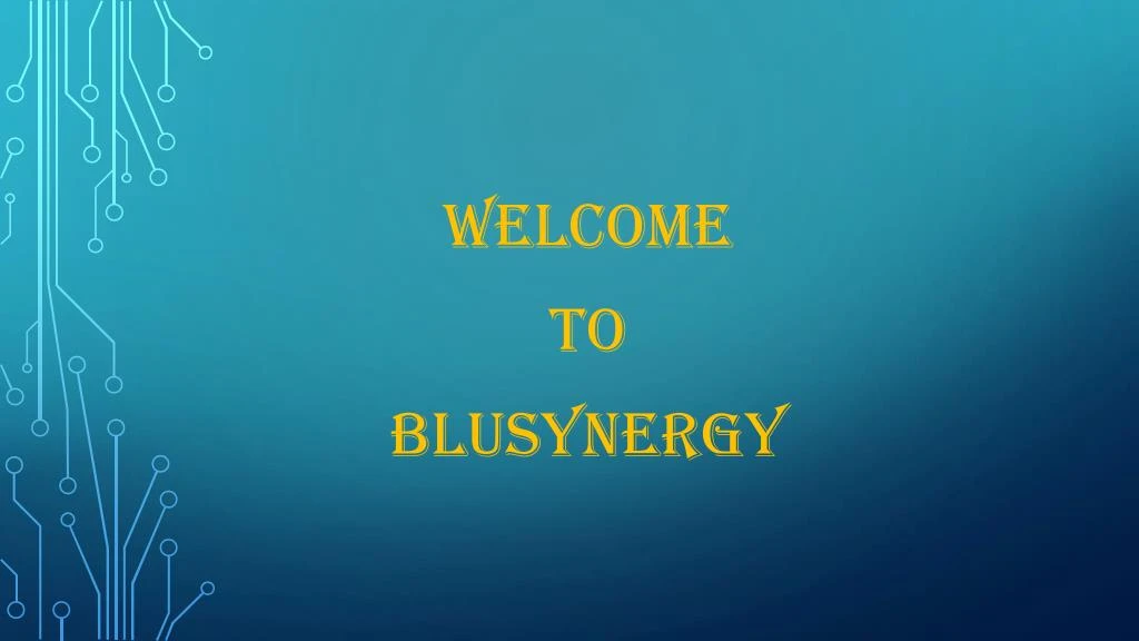 welcome to blusynergy