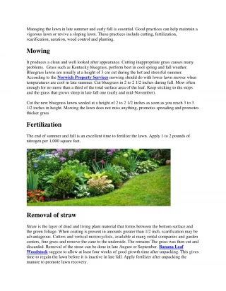Late Summer and Early Fall Lawn Care Tips