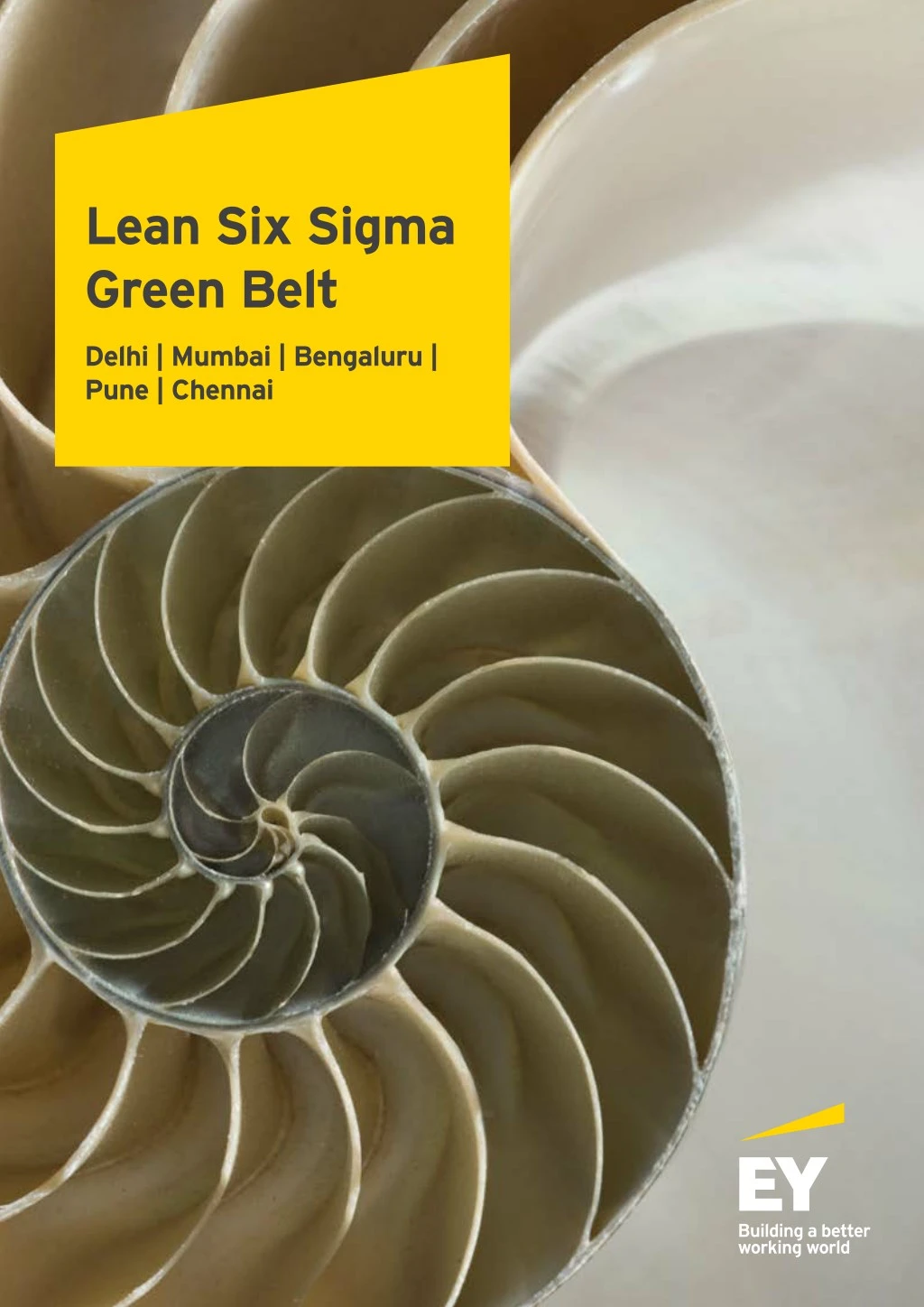 lean six sigma green belt