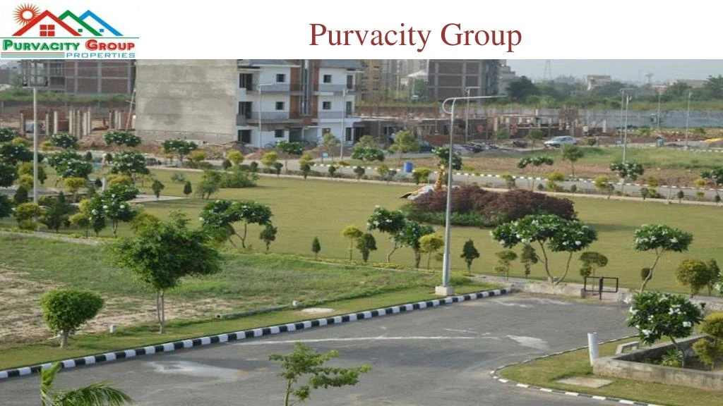 purvacity group