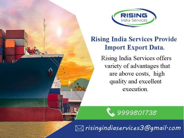 Online Export Import Data India from risingindiaservices.com