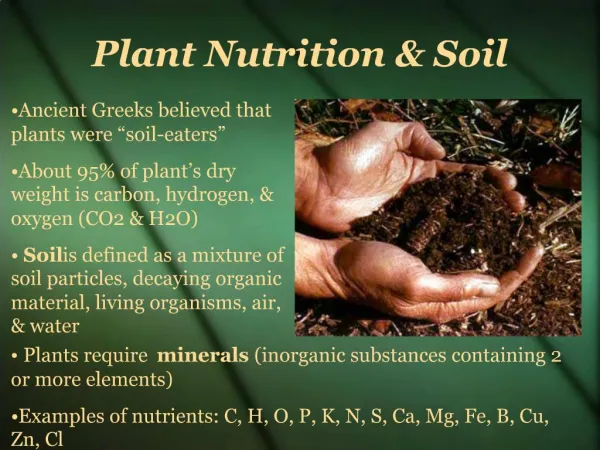Plant Nutrition Soil
