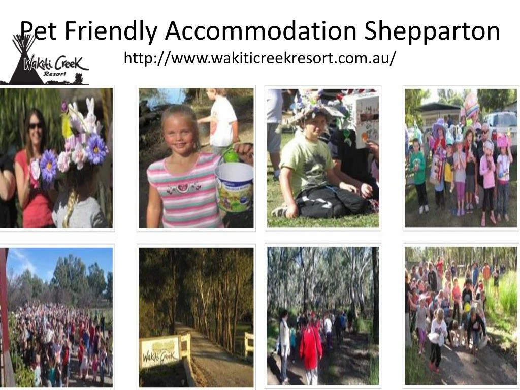 pet friendly accommodation shepparton http www wakiticreekresort com au