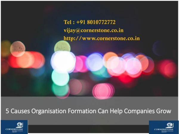 5 Causes Organisation Formation Can Help Companies Grow