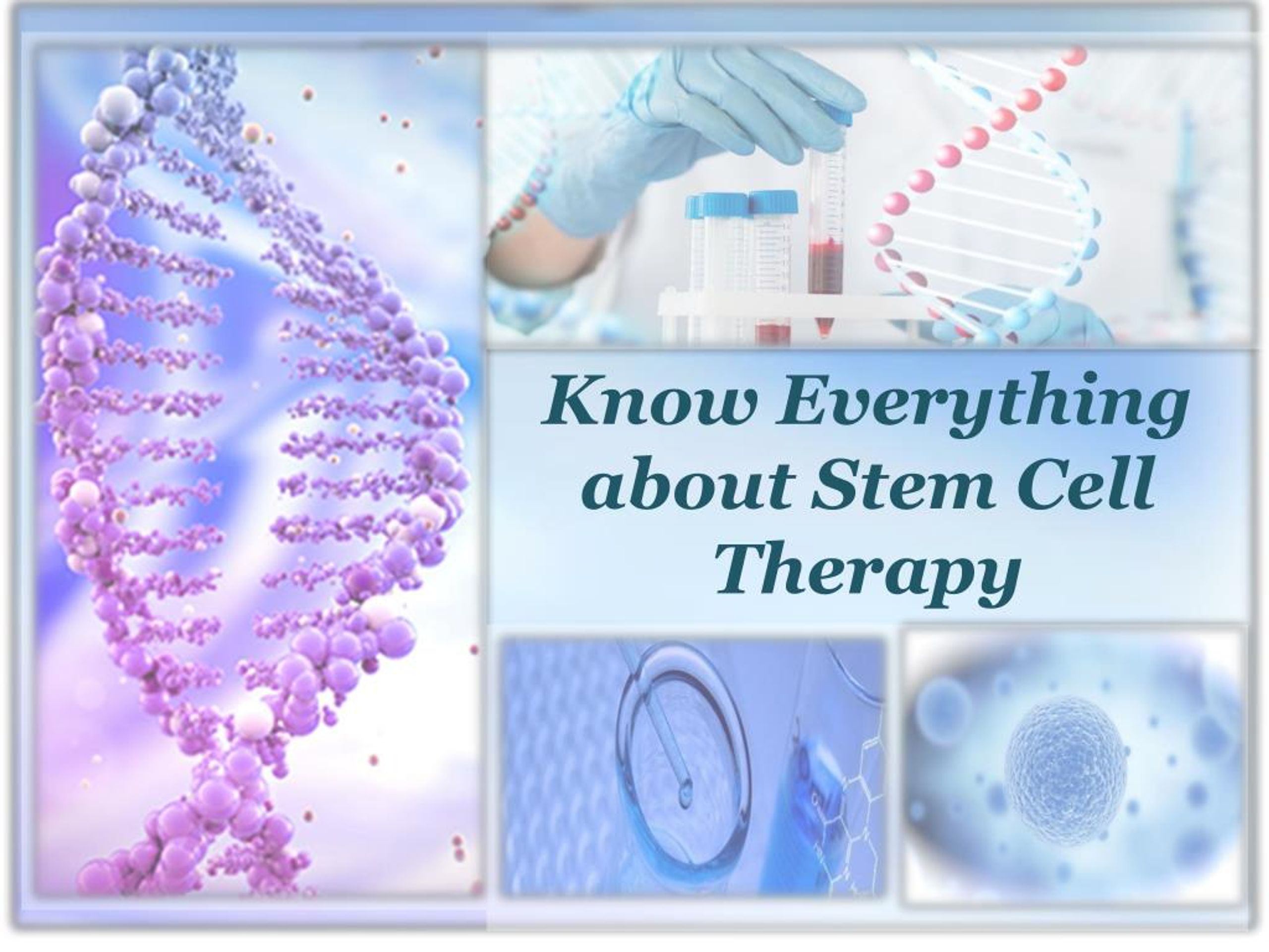 PPT - Know Everything about Stem Cell Therapy PowerPoint Presentation ...
