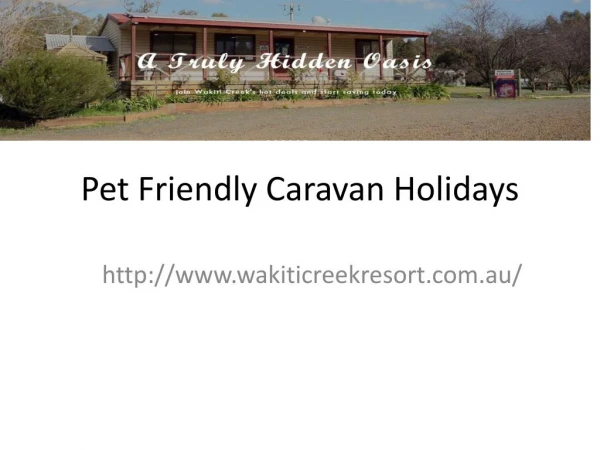 Pet Friendly Caravan Holidays