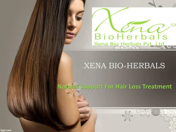 Natural Support For Hair Loss Treatment