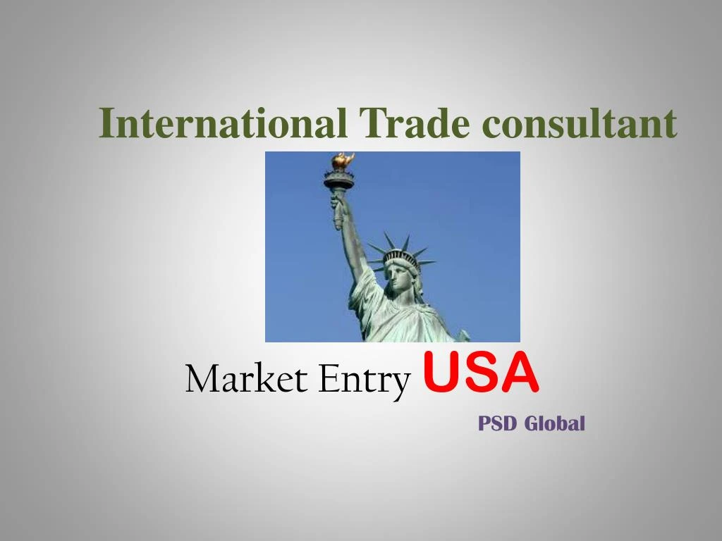 international trade consultant