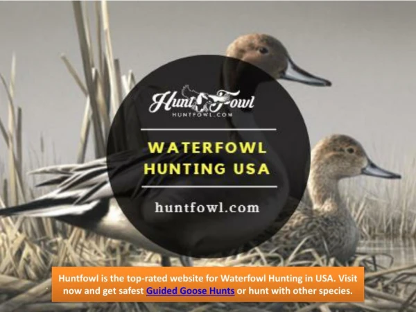 Waterfowl Hunting in USA