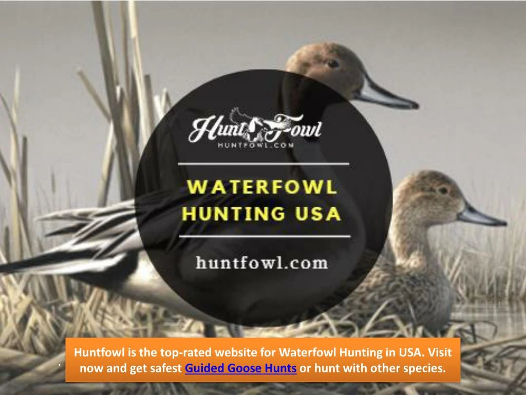 huntfowl is the top rated website for waterfowl