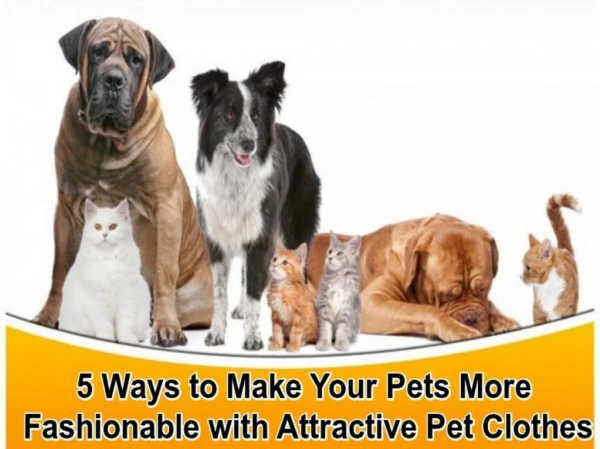 Tips for Pets & their attractive clothes
