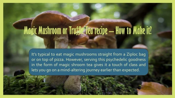 Magic Mushroom Tea Recipe - How to Make It?
