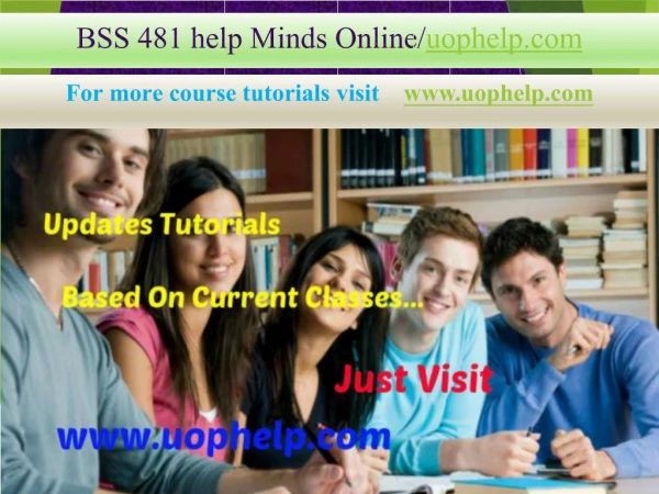 BSS 481 help Minds Online/uophelp.com